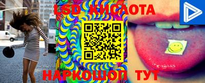 PSILOCYBIN Кулебаки